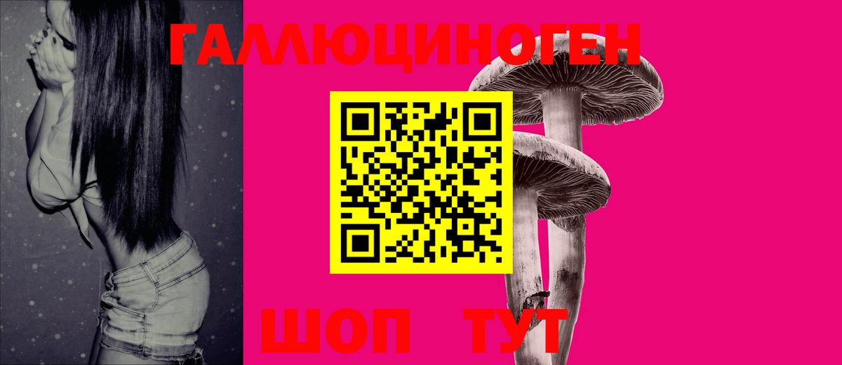 Псилоцибиновые грибы мухоморы  Вход с VPN  Псилоцибиновые грибы GOLDEN TEACHER  Элиста 